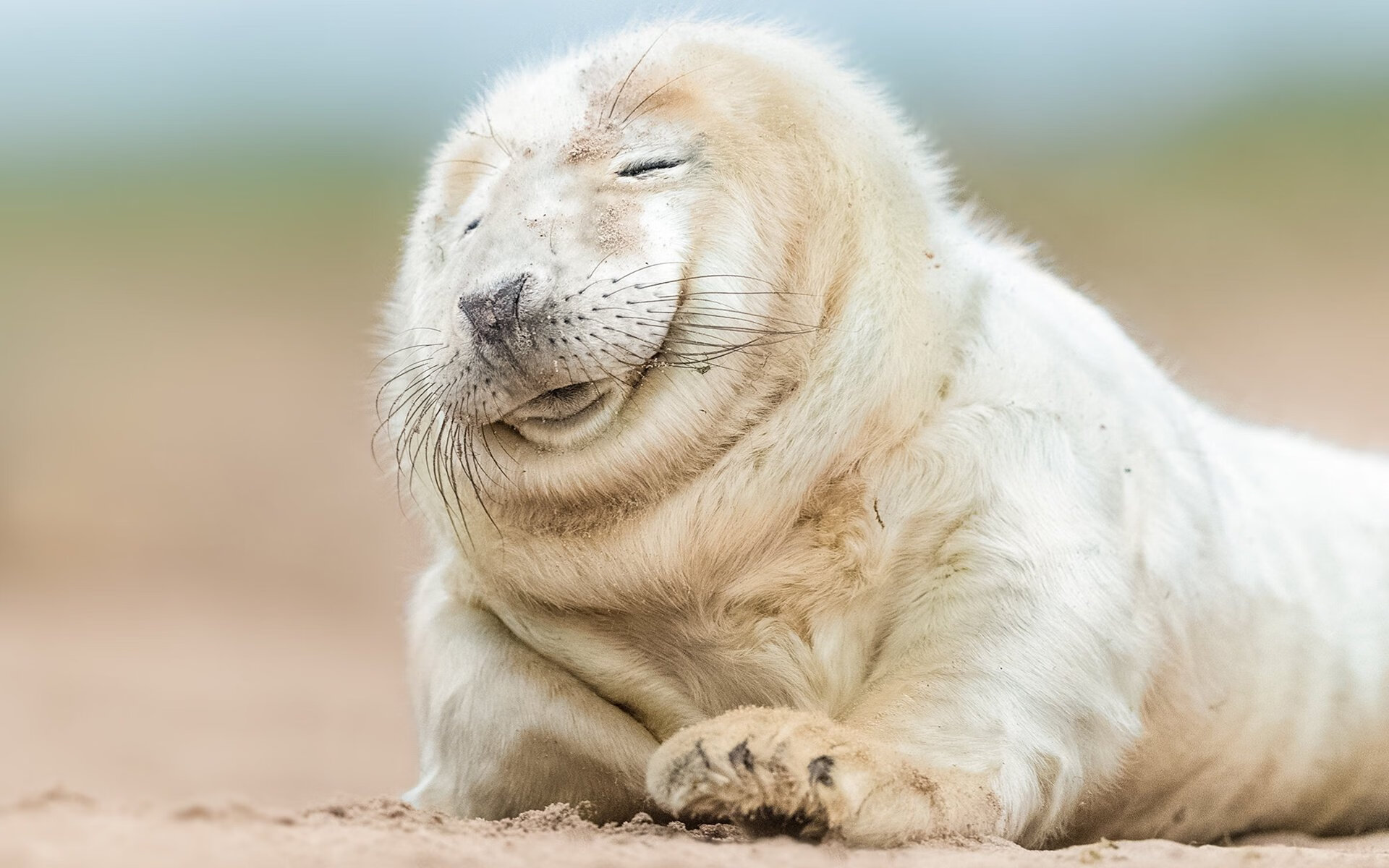 国足控场主导权变化趋势解读，国足控球率